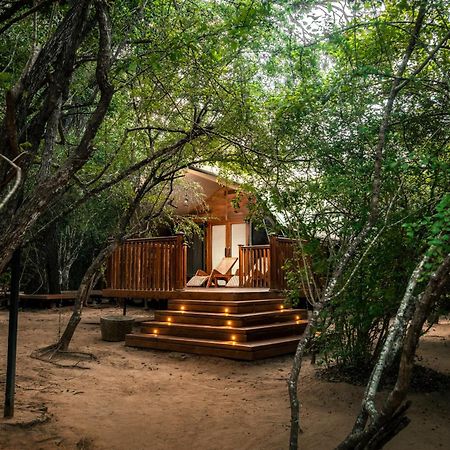 Leopard Reach Yala By Seven Angels Hotell Tissamaharama Exteriör bild