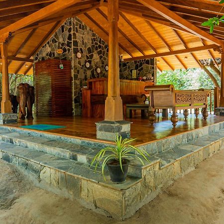 Leopard Reach Yala By Seven Angels Hotell Tissamaharama Exteriör bild