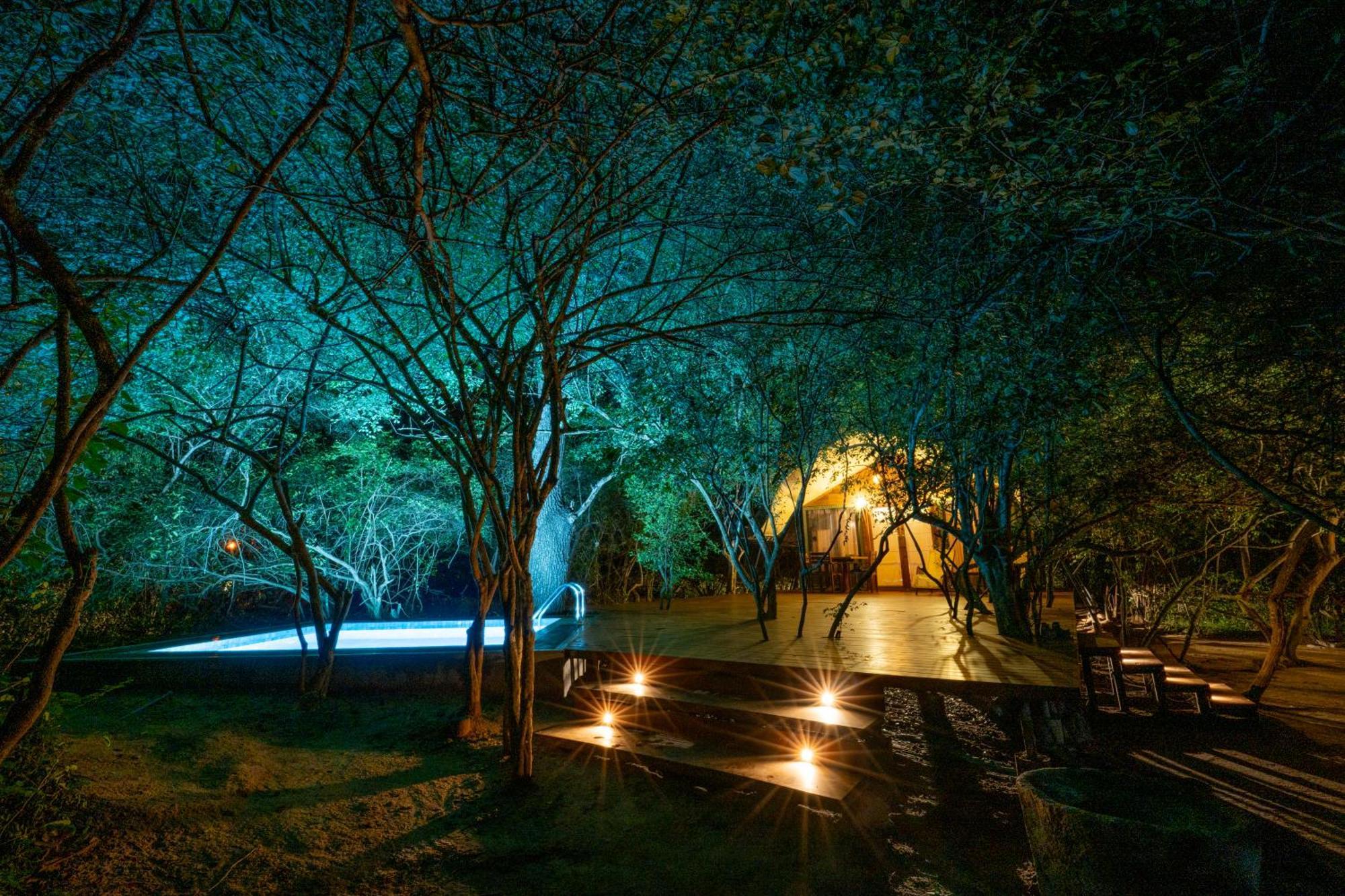 Leopard Reach Yala By Seven Angels Hotell Tissamaharama Exteriör bild