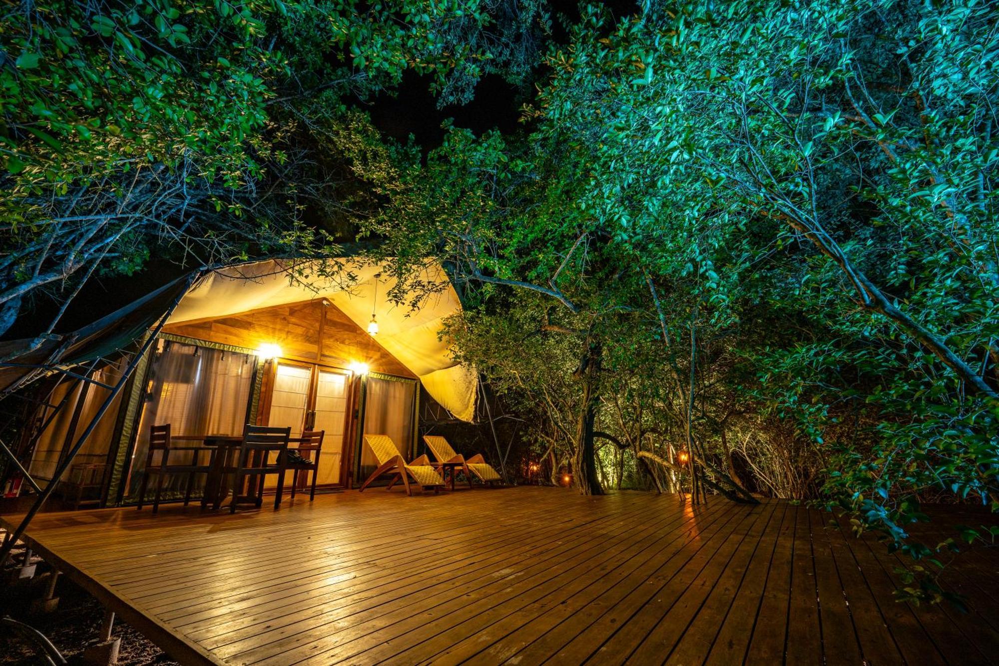 Leopard Reach Yala By Seven Angels Hotell Tissamaharama Exteriör bild