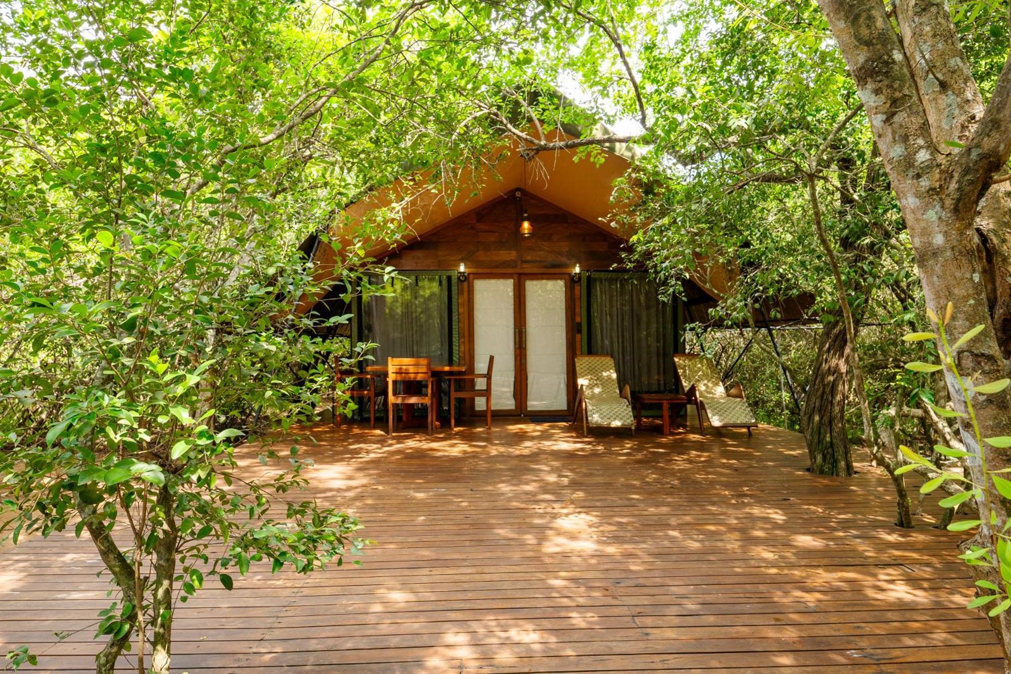 Leopard Reach Yala By Seven Angels Hotell Tissamaharama Exteriör bild