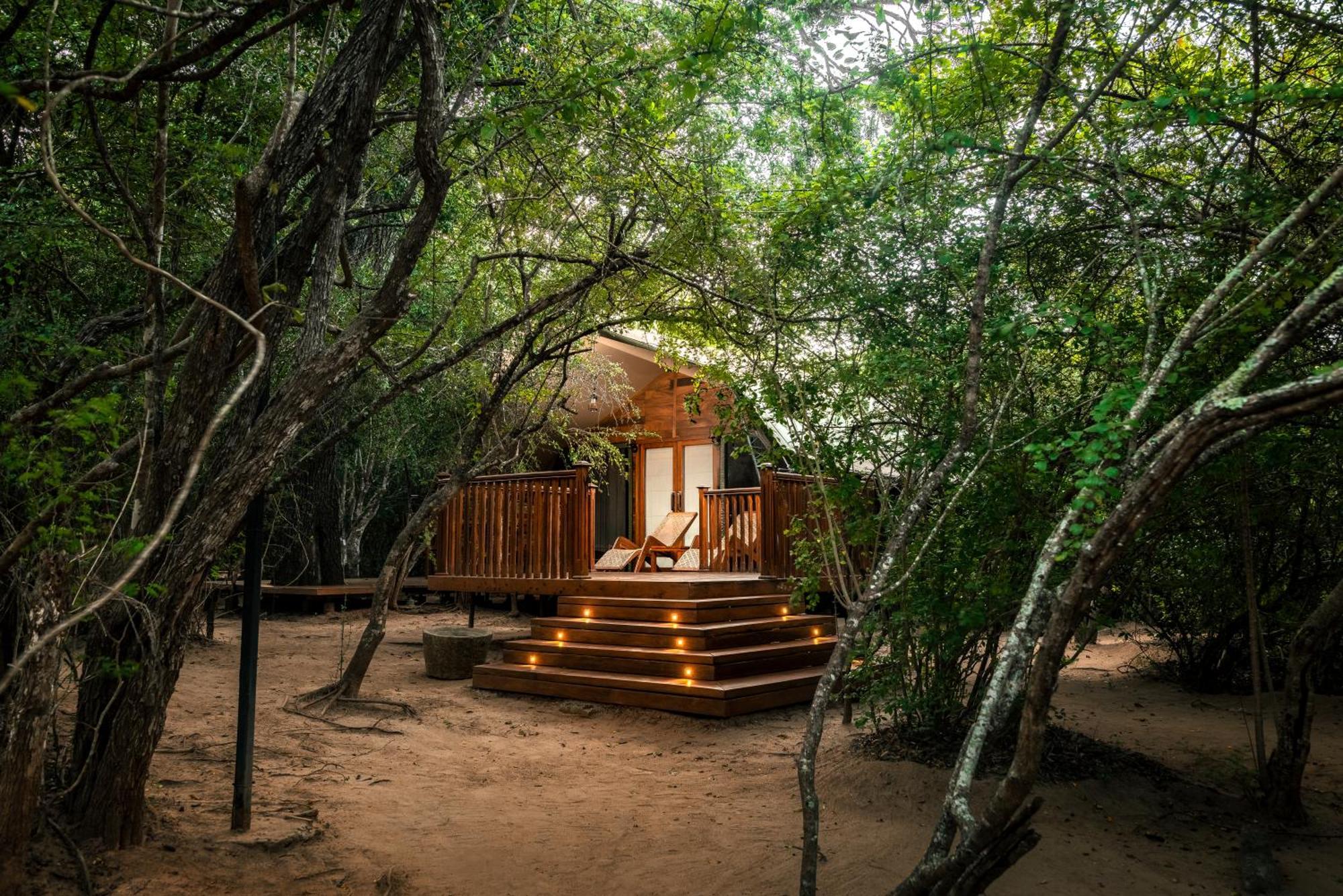 Leopard Reach Yala By Seven Angels Hotell Tissamaharama Exteriör bild