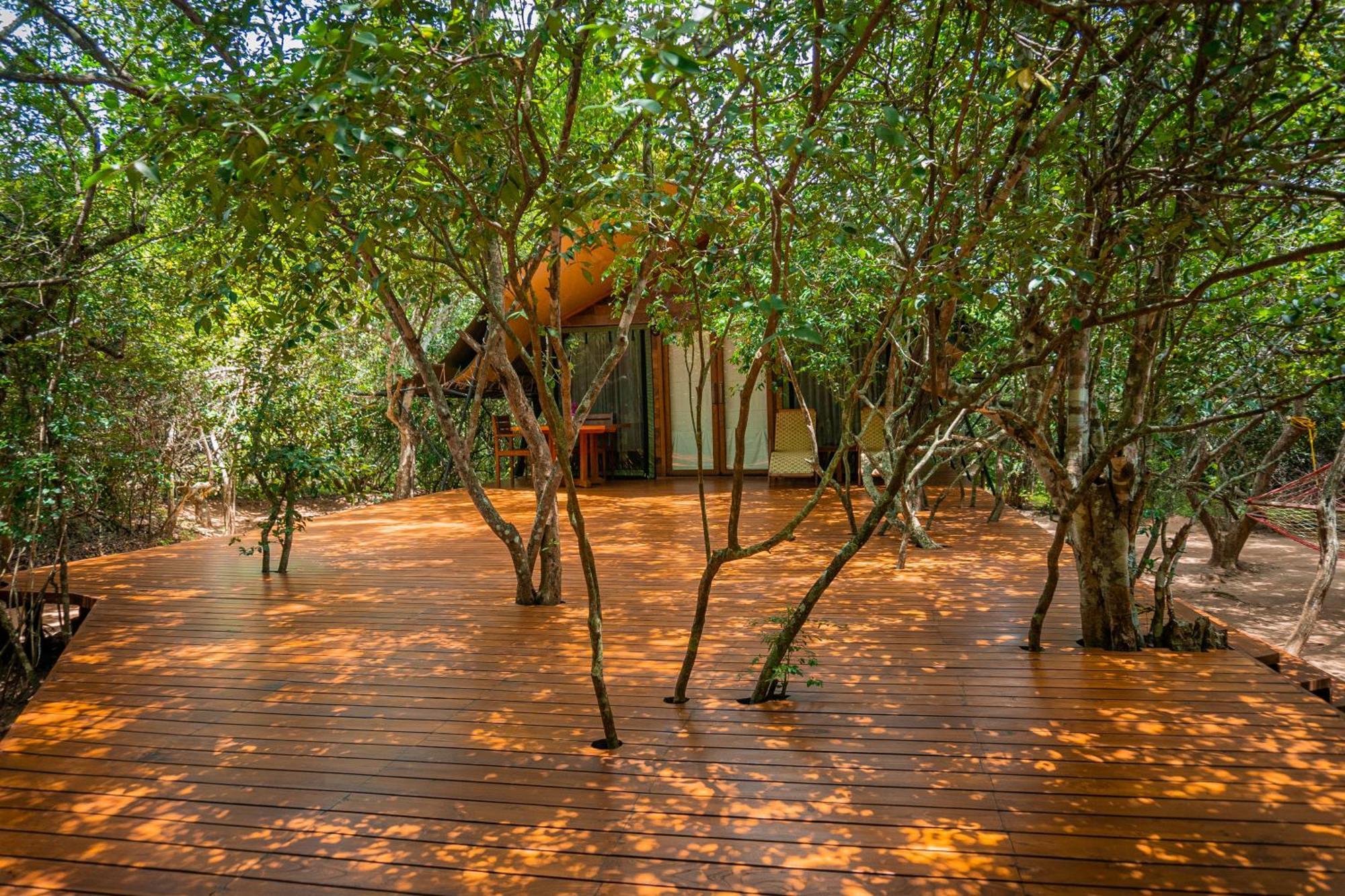 Leopard Reach Yala By Seven Angels Hotell Tissamaharama Exteriör bild